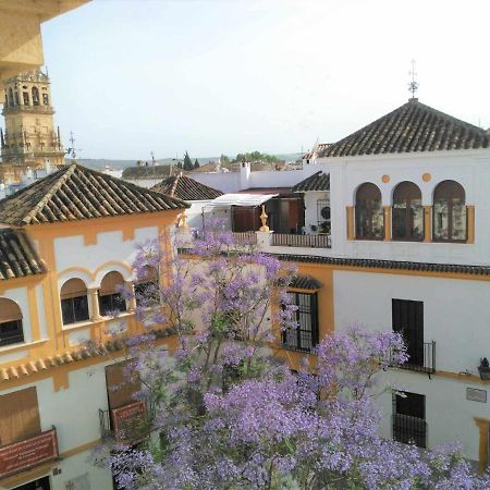 Апартаменти La Casa De La Musica Кордова Екстер'єр фото